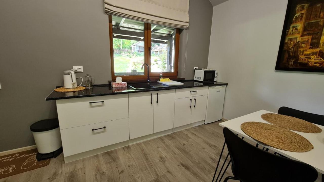 Holiday home Panorama & Chernivtsi