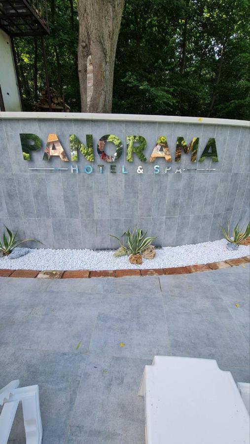 Panorama &