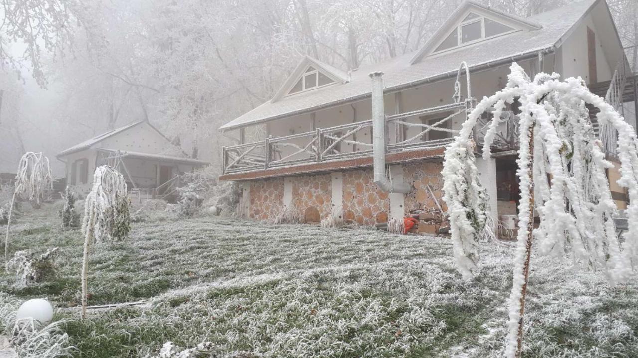 Panorama & Holiday home