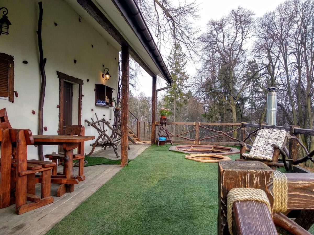 Panorama & Holiday home Chernivtsi