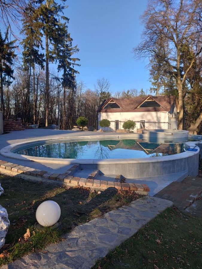 Panorama & Holiday home Chernivtsi