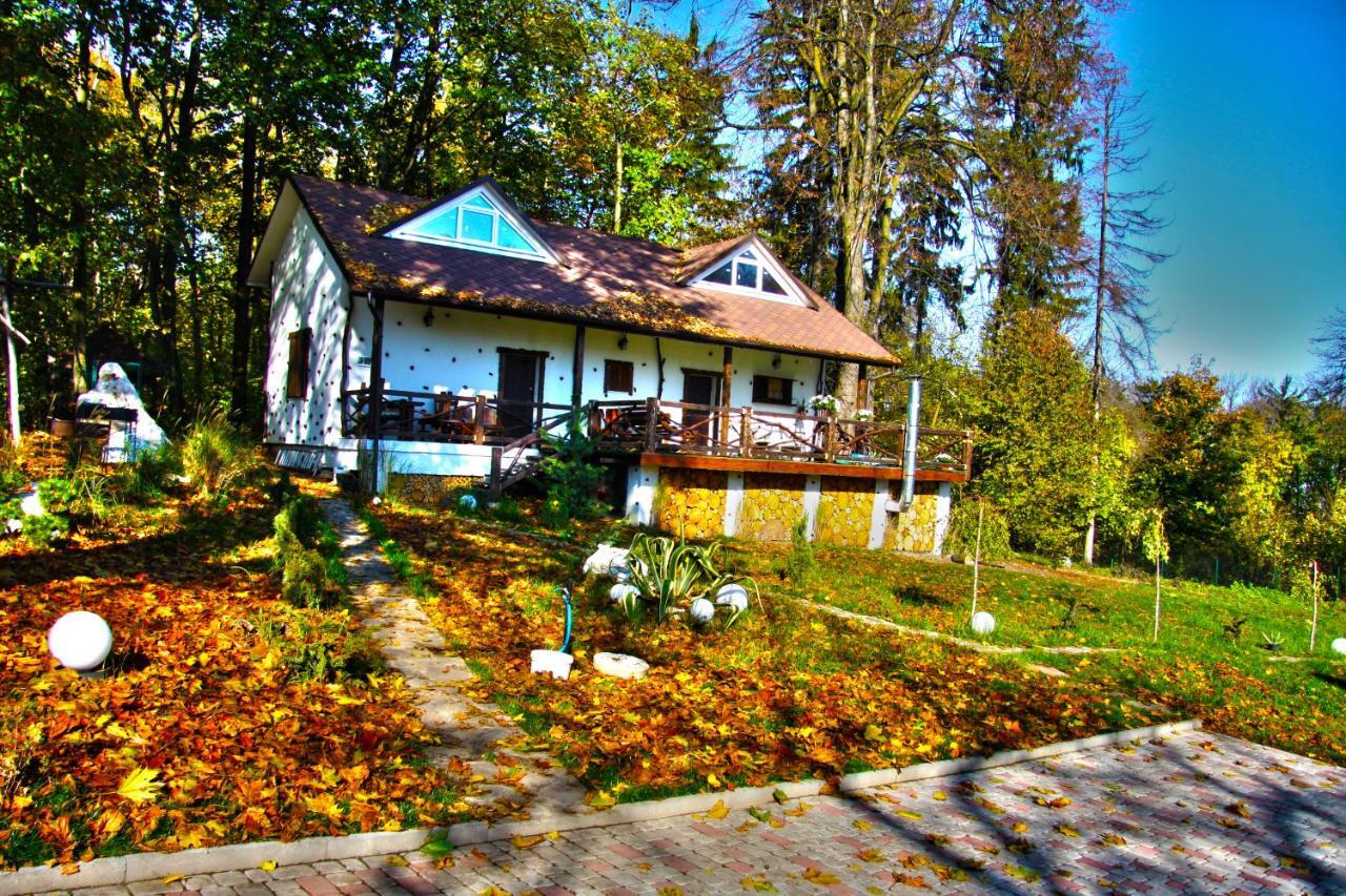 Panorama &
