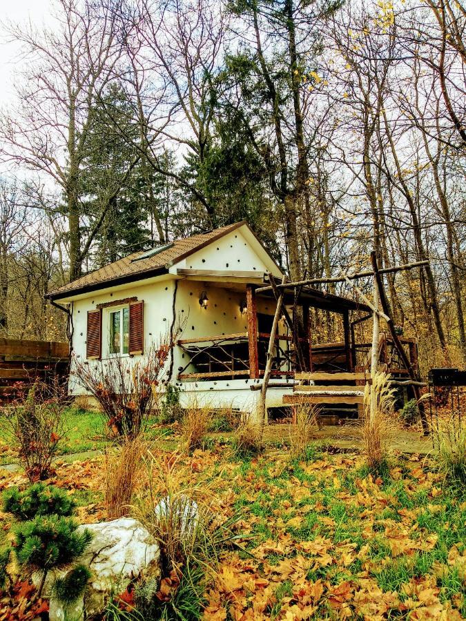 Panorama & Holiday home
