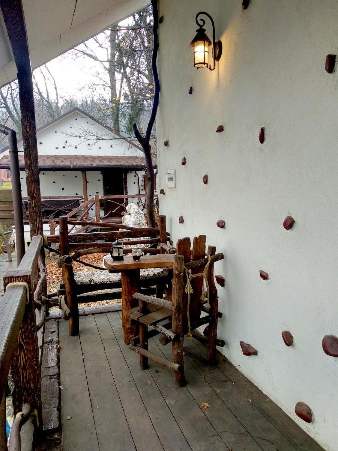 Panorama & Holiday home Chernivtsi